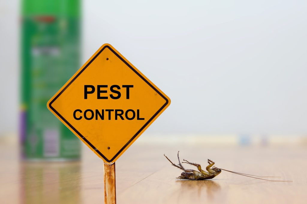 providing pest control digital marketing services to local post control companies